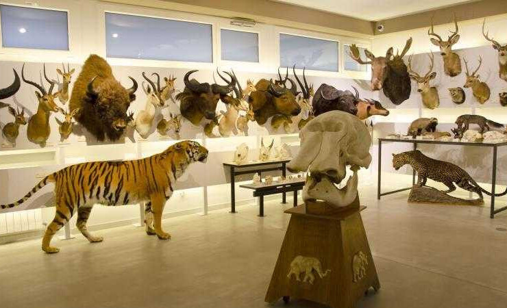 0 1672743289 Los increíbles 5 Museos de la Provincia de León Menos Conocidos