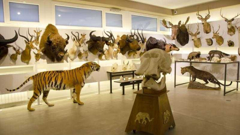 0 1672743289 Los increíbles 5 Museos de la Provincia de León Menos Conocidos