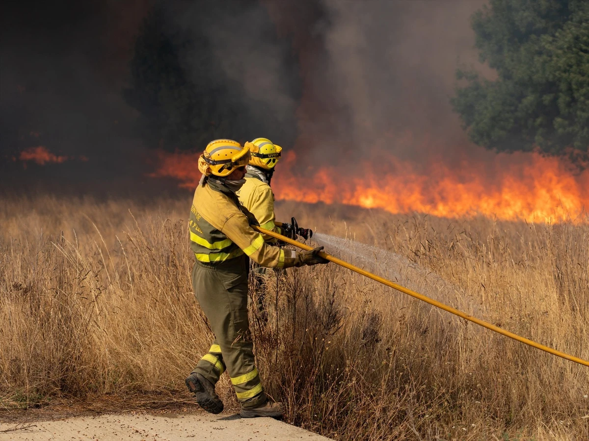 La provincia de León vive una jornada crítica por los incendios forestales en León