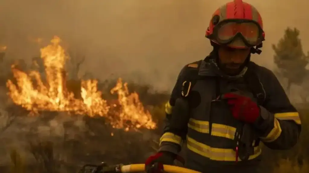 Plan Estratégico de Recuperación Post Incendios forestales 2025 en Castilla y León