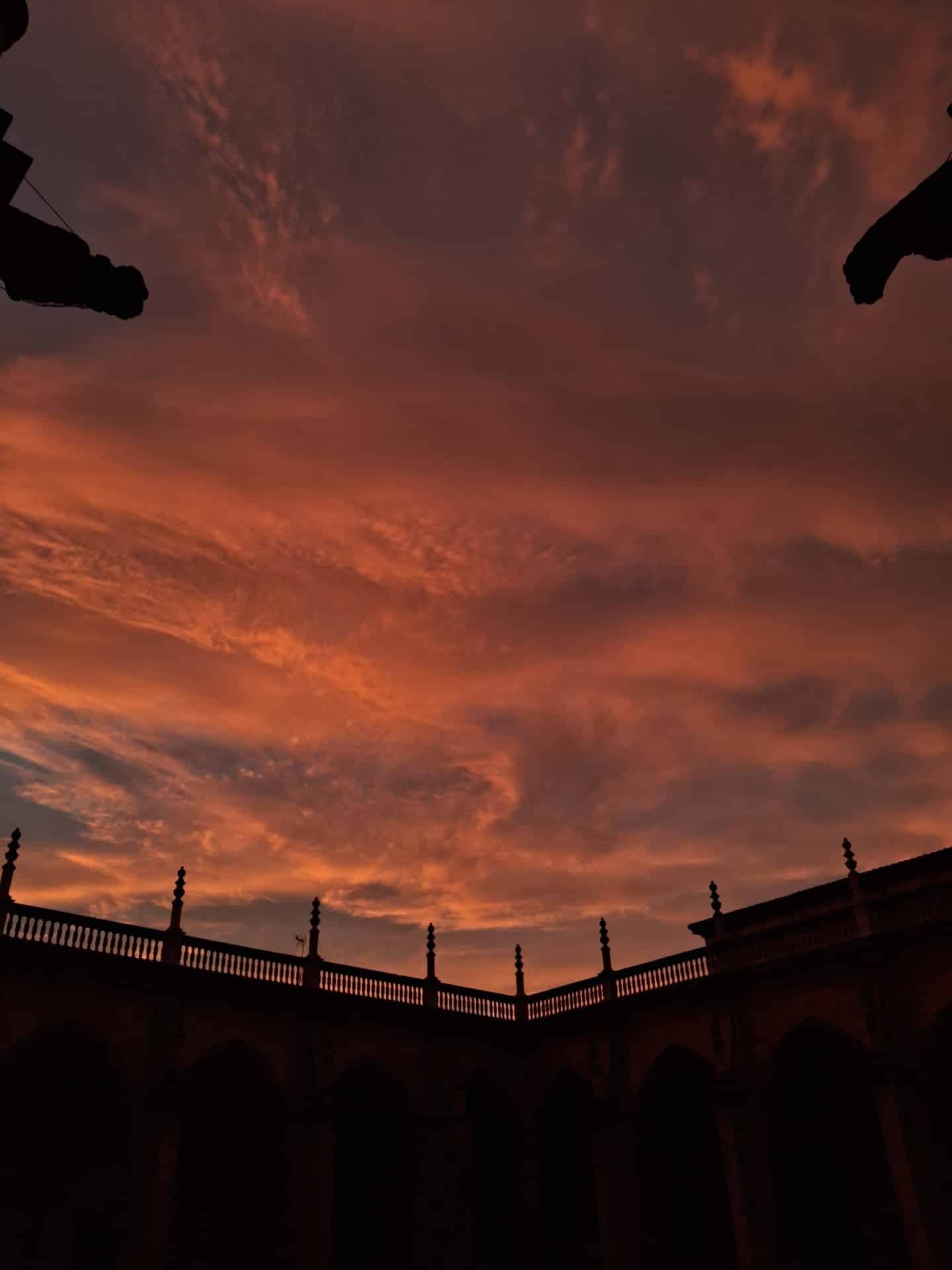 55634 El increíble Cielo de León que nos regaló la tarde del 1 de Diciembre🌅