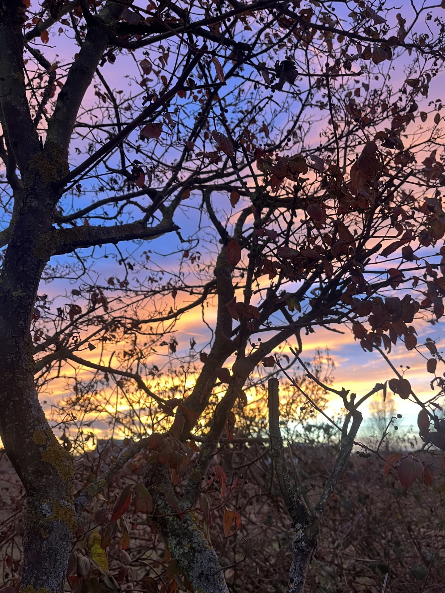 IMG 8483 El increíble Cielo de León que nos regaló la tarde del 1 de Diciembre🌅