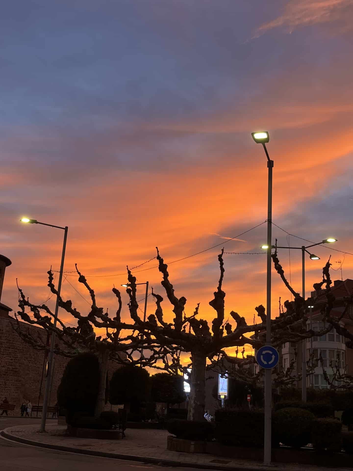 image3 El increíble Cielo de León que nos regaló la tarde del 1 de Diciembre🌅